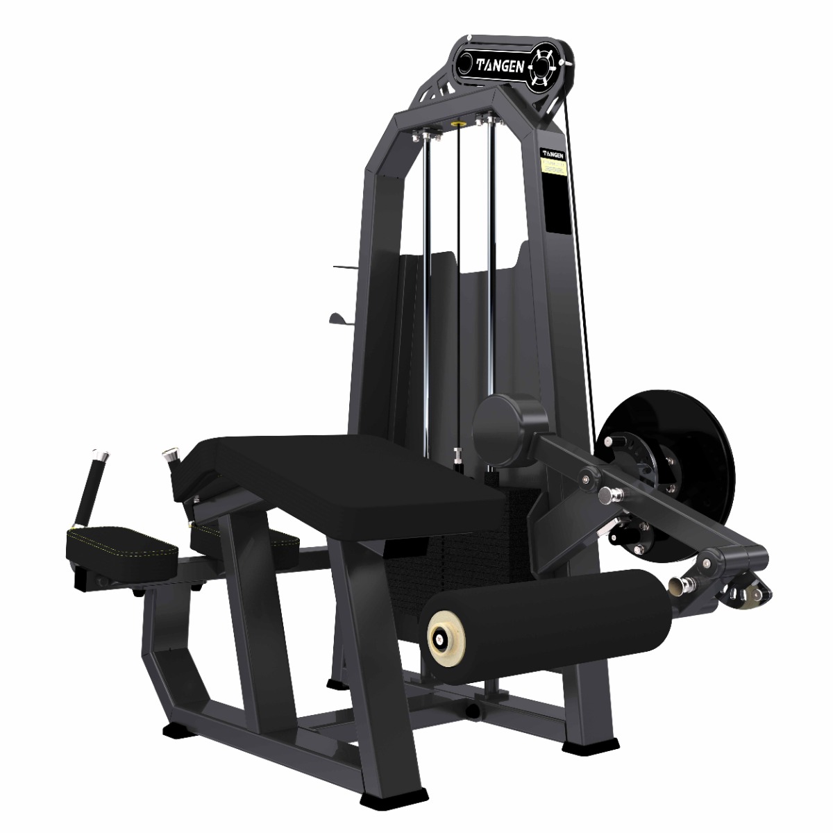 A2001 Сгибание ног лежа. Стек 100 кг