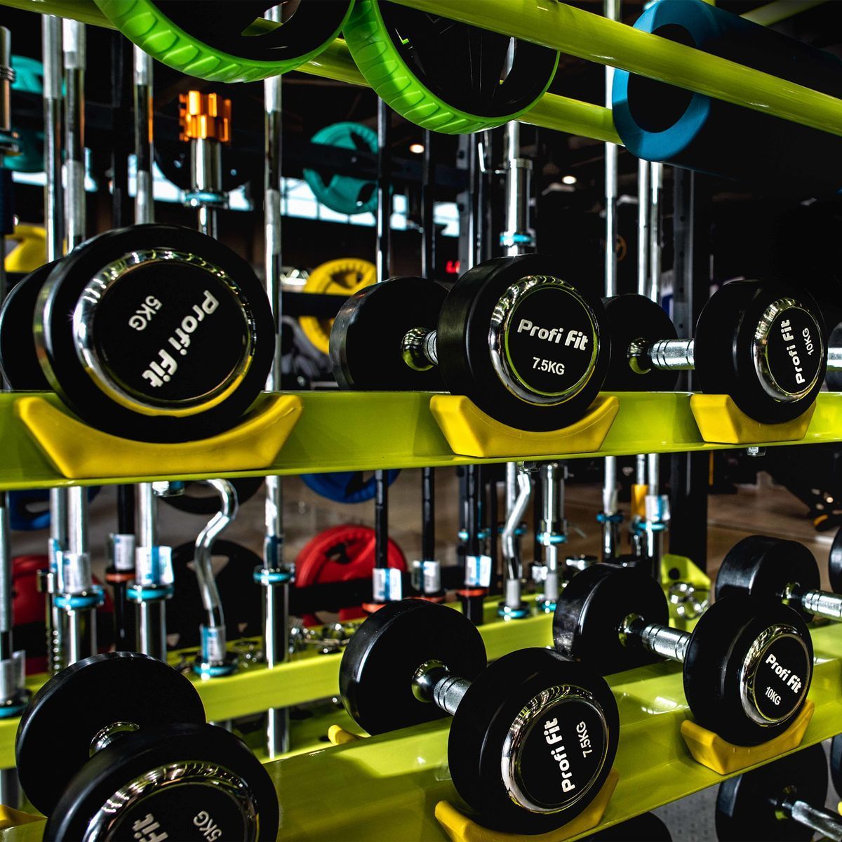 Гантельный ряд PROFESSIONAL (шаг 2,5 кг, 10 пар) PROFI-FIT 2,5-25 кг — изображение 3