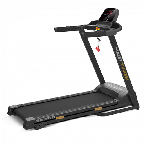 Беговая дорожка Hasttings Silver